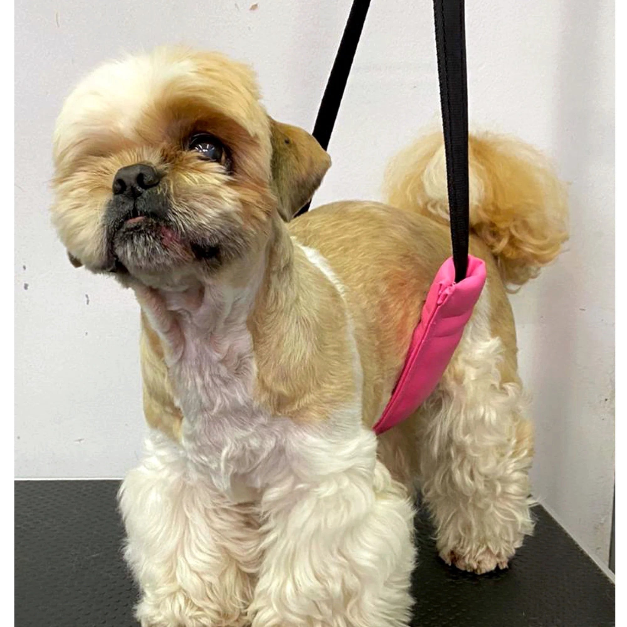 Dog Grooming Belly Support Strap